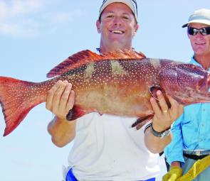A great catch of coral trout. Dinner is served.